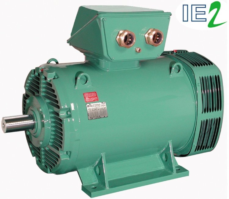 Электродвигатель 2P PLSES 315M 200kW IFT/IE3 IP23 B35 380D/400D/415D/690Y-460D 50-60Hz - CEILS / FF600