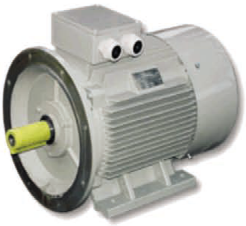 Асинхронные электродвигатели AC-Motoren FCMP IE2