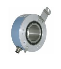 Датчики Wachendorff WDG 100H